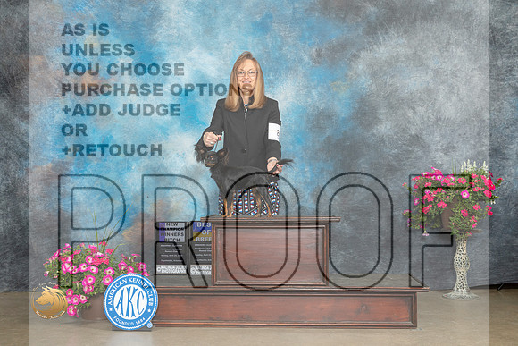 Russian Toy #8 Sat WBCH Judge  Jacqueline L Stacy_MJ_7155_ARK2023_HR3