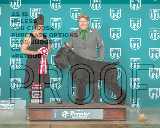 Giant Schnauzer #1317 Fri G2 Judge Donna Beadle-MJP_4601e-Premier2023-HR3