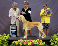 Saluki #16 Fri G4 Agent Erin J Roberts Middlebrooks Sandrs & J Harrington & S Winstead Judge R Forsyth HR Houston Jul 2013