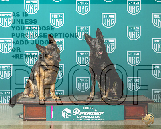 German Shepherd Dogs Mother DaughterMJP_4764_Premier2023_HR3
