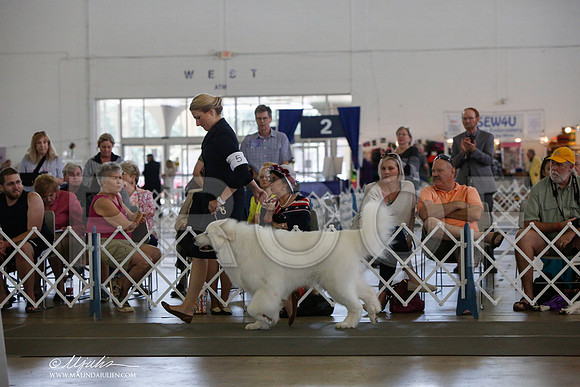 _JJ_1887-DallasJul2014-HR3