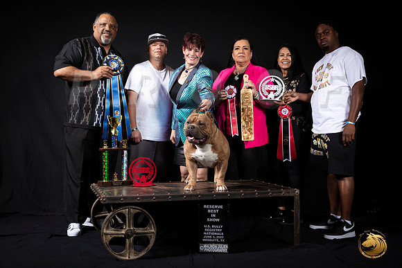 American Bully #22 RBIS Judge Emauel HaynesMJP_3351_USBRNat2023_HR3