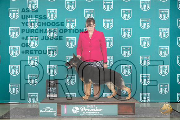 German Shepherd Dog #870 Thur T10AOE Judge Stehpanie Mueller__JP_0941_Premier_2024_HR3