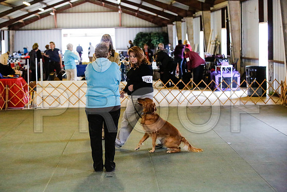_CA_0663-DFWLabNov2015-©JulienLambertphoto.com-HR3