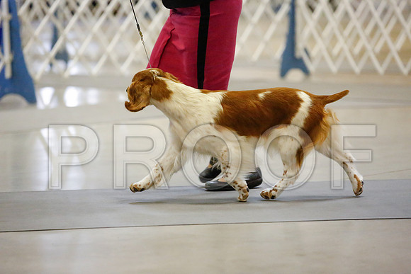 _JJ_7457-AmarilloSept2014-HR3