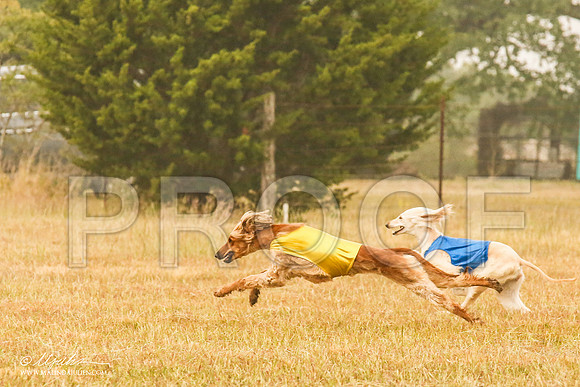 _MJ_3380-AfgBeltonOct2014-HR3