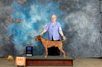 Vizsla #19 Sat G1Judge Malinda Julien  r
