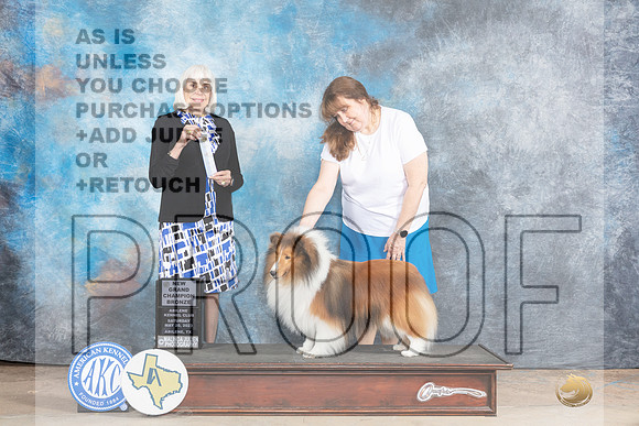 Shetland Sheepdog #19 Sat SGCH Judge Jan Paulk-MJP_0734e_Abilene2023-HR3