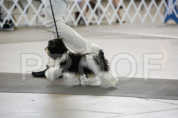 _CK_1716-DallasJul2014-HR3
