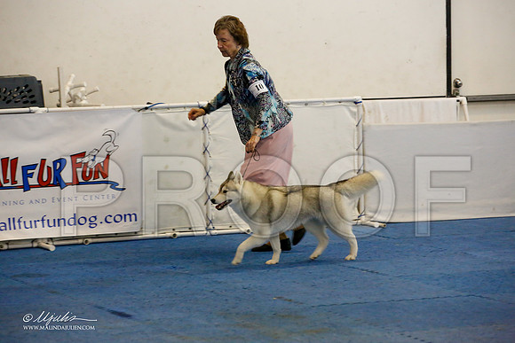 _M3_1005-AddisonHuskyMar2015-HR3