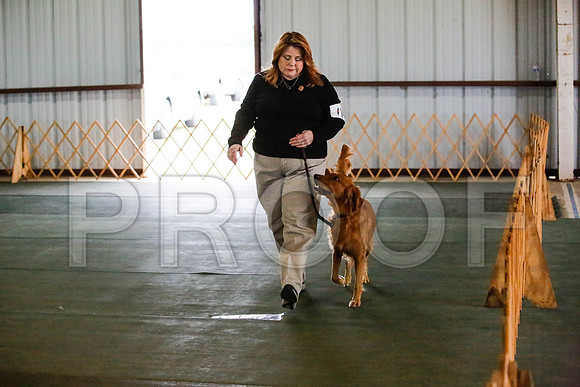 _CA_0657-DFWLabNov2015-©JulienLambertphoto.com-HR3