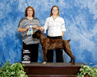 Cane Corso #123 sat S2 Randi Garrett Judge Anna Baughn