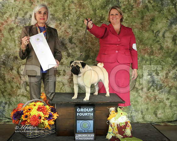pug-7533-SANov13-HR