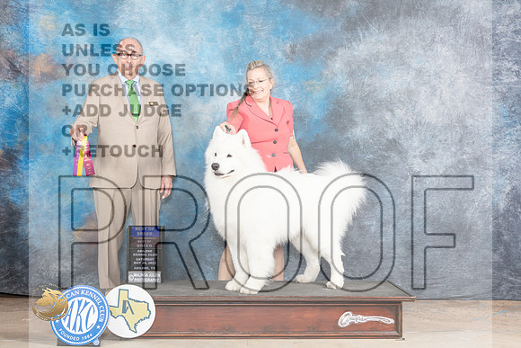 Samoyed #11 Sat BOBOHBOB  Judge Joe Walton MJP_0950_Abilene_2023_HR3
