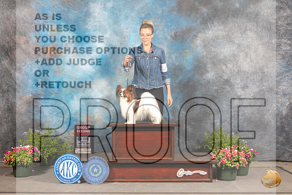 Papillon #28 Fri G2 Judge John Booth_MJ_0003_SA_2022_HR3