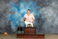 Teddy Roosevelt Terrier #223 Sat CHBOW Judge Chandra Martin