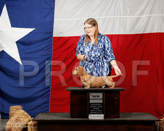 _ST_1515-2-AmarilloSep2014-HR3