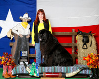 Newfoundland #103 Sat 1st Nov
