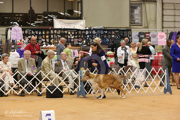 HerdGrSn-1186-Tex2013 HR3
