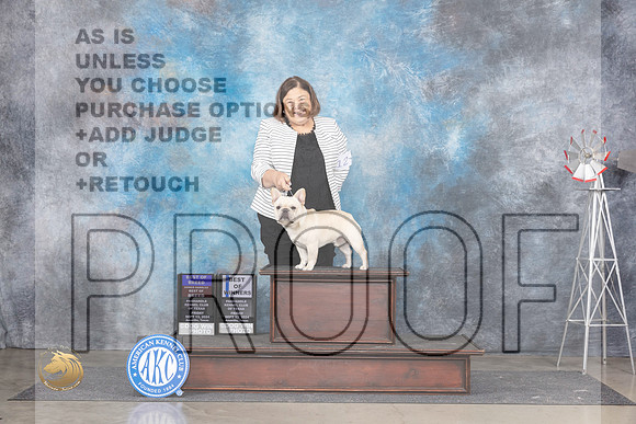 French Bulldog #15 Fri BOBOHBOBBOW Judge Denise Dean r__JP_6517_Amarillo_2024_HR3