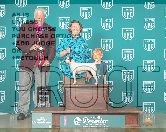 Parson Russell Terrier #350 Thurs Top 10Q Judge Pat O'Donnell-MJP_4654e-Premier2023-HR3
