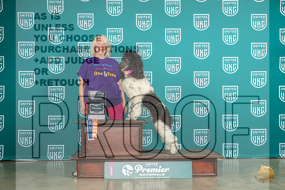 Poodle Std MC #909 Sat BegAgilityMJP_5386_Premier2023_HR3