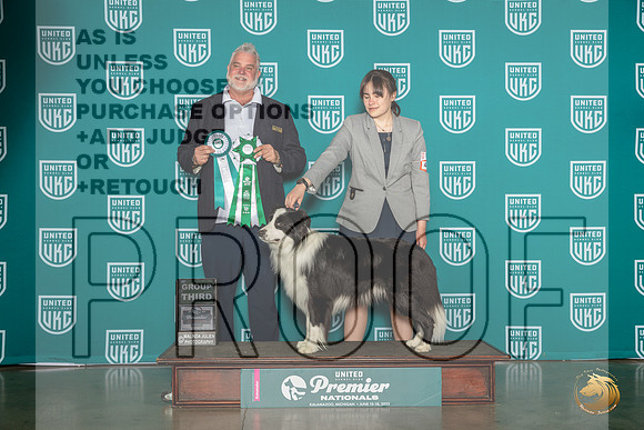 Border Collie # Fri G3 Judge Matthew ProctorMJP_4710_Premier2023_HR3