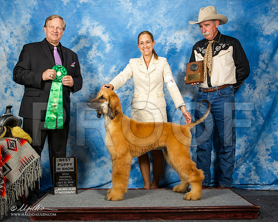 _ST_4589-AfgBeltonOct2014-HR3
