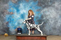 Dalmatian #123 Fri BOB : G1 Judge Malinda Julien