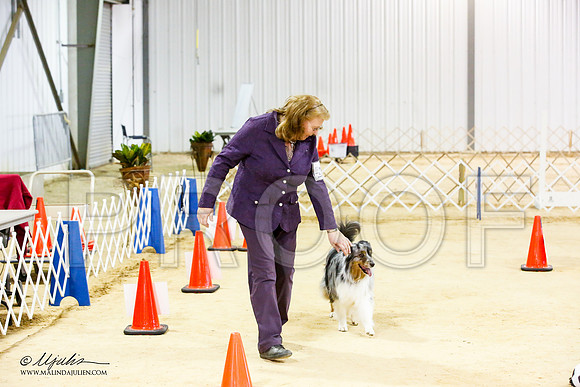 _JJ_6399-ASCACollegeStationNov2014-HR3