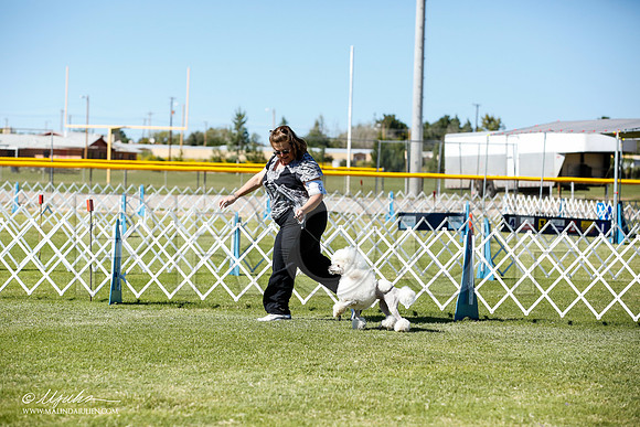 _JN_9398-AlamogordoOct2014-HR3