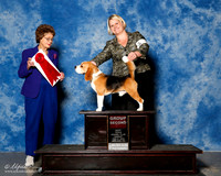 Beagle 15in #7 Sun G2 Ayala Brooke N Rudy and Ann and David Wolf Judge Patricia Trotter