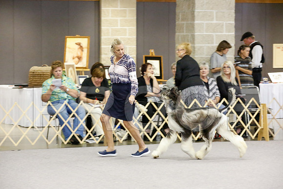 _JJ_0226-AfgBeltonOct2014-HR3