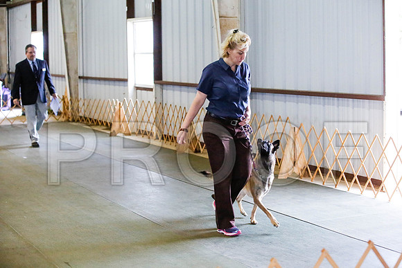 _CA_0619-DFWLabNov2015-©JulienLambertphoto.com-HR3