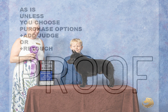 #17 BOSSweeps  Judge Sandra Ebarb-_CL_8954_Schip_2022-HR3