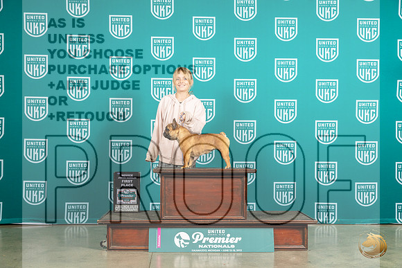 French Bulldog #1273 Sun 1NovJr Judge Matthew ProctorMJP_6055_Premier2023_HR3