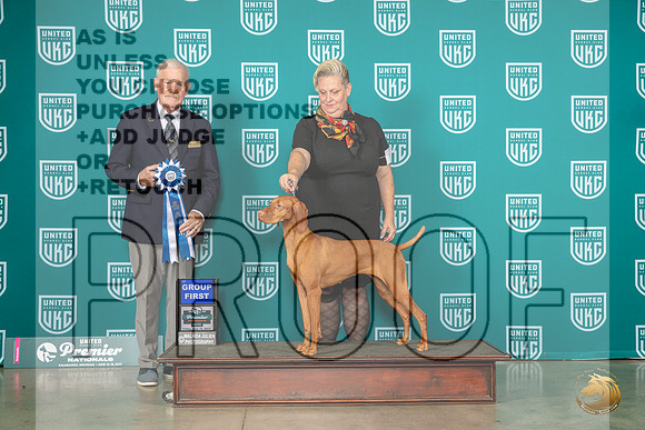 Vizsla #779 Fri G1 Judge David KittredgeMJP_4612_Premier2023_HR3