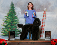 Poodle Standard #? Sat S1 NC Kerry Hogle