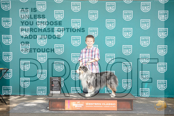 Miniature American Shepherd #801 Fri Jr 2nd Judge Malinda Julien __JP_1091_Longview WA_2024_HR3