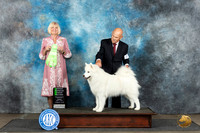 Samoyed #8 Sun OHG2 Judge Debra Thornton