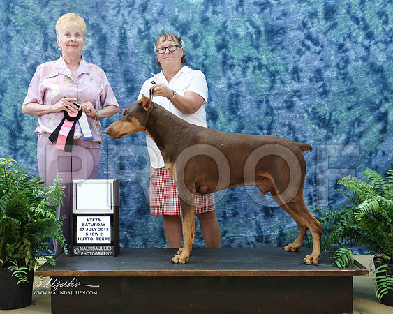 Dobe-9327-HuttoJul13