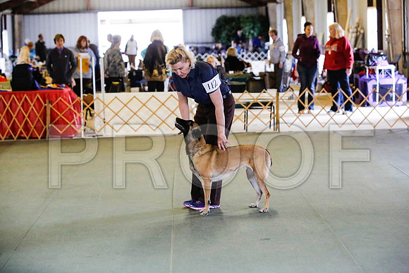 _CA_0628-DFWLabNov2015-©JulienLambertphoto.com-HR3