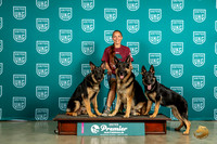German Shepherd #634 Fri