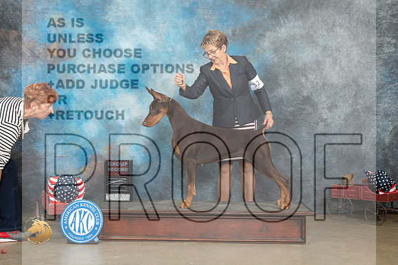 Doberman Pinscher #32 Fri G2 Judge Jacqueline L Stacy_MJ_6112_ARK2023_HR3