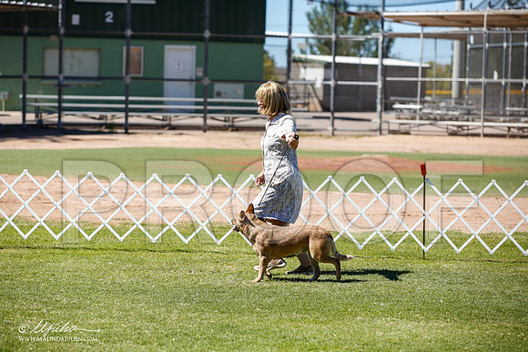_JN_8899-AlamogordoOct2014-HR3