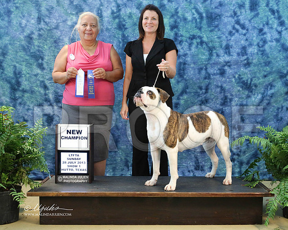 AmBull-9586-HuttoJul13
