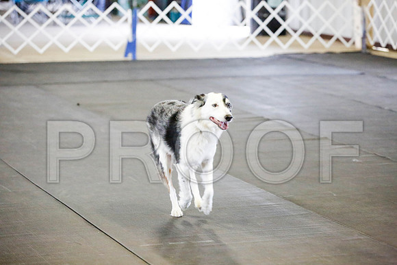_CA_0495-DFWLabNov2015-©JulienLambertphoto.com-HR3