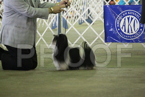 MJS_8823