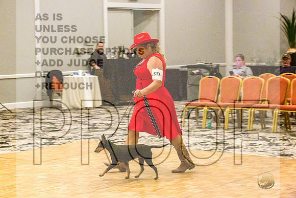 Manchester Terrier MTOY Candids-JJL_2276-Hstn2022_HR3