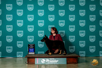 German Shepherd Dog #NL Wed PRBIS Judge Fred Hyer